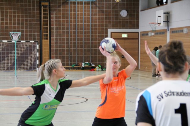 2017_01_08 Landesliga Frauen u. J19
